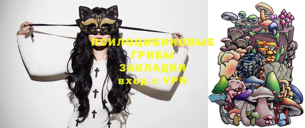 мет Абаза