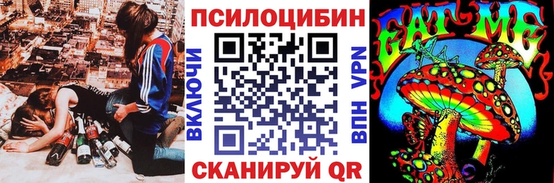 магазин Ярославль Псилоцибиновые грибы мухоморы
